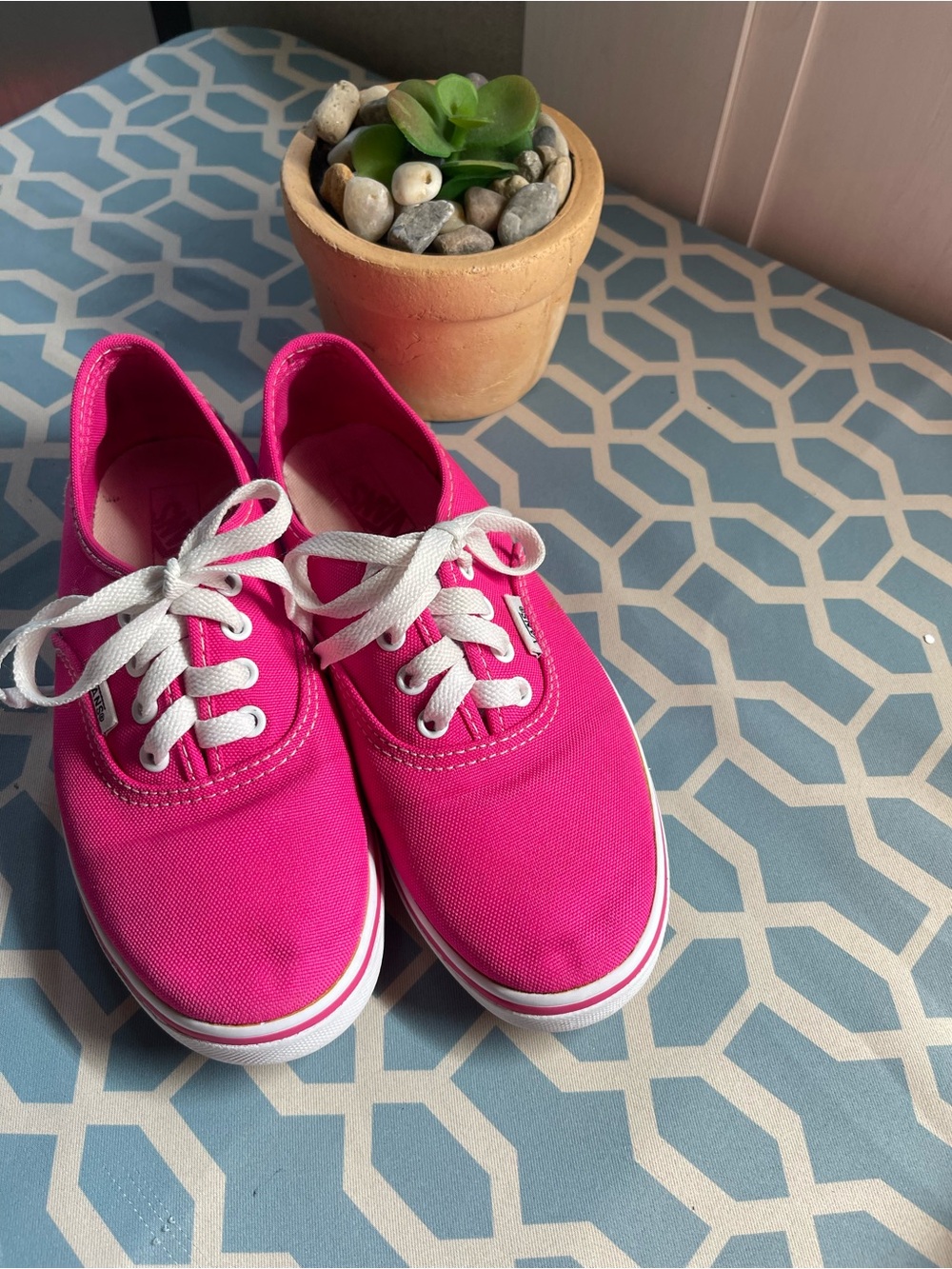 Vans Hot Pink Canvas Lace-Up Sneakers